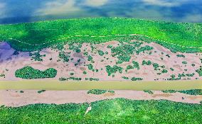 National Ecology Day