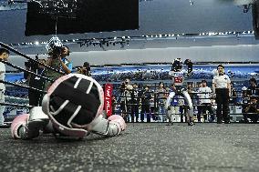 World Humanoid Robot Games in Beijing