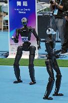 World Humanoid Robot Games in Beijing