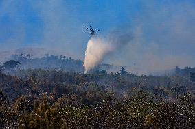 2025 Wildfires Threaten Naples - Italy
