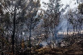 2025 Wildfires Threaten Naples - Italy