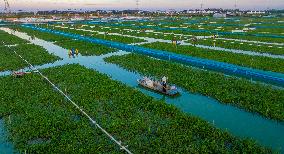 Ecological Crab Breeding Base in Suqian