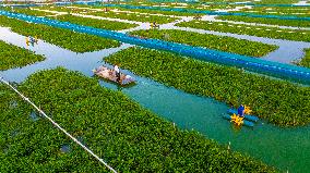 Ecological Crab Breeding Base in Suqian