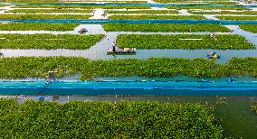 Ecological Crab Breeding Base in Suqian