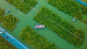 Ecological Crab Breeding Base in Suqian