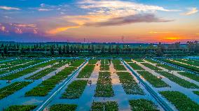 Ecological Crab Breeding Base in Suqian