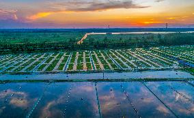 Ecological Crab Breeding Base in Suqian