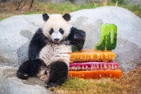 Giant Panda Twins Celebrate Birthday in Hong Kong - China