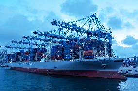 Qingdao Port Container Automated Terminal