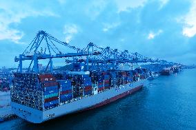 Qingdao Port Container Automated Terminal