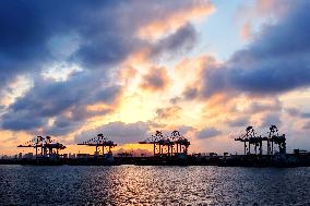 Qingdao Port Container Automated Terminal