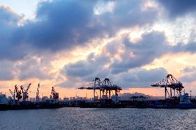 Qingdao Port Container Automated Terminal