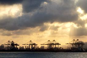 Qingdao Port Container Automated Terminal