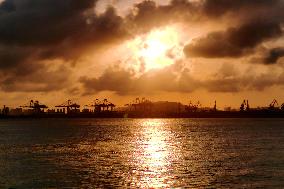 Qingdao Port Container Automated Terminal