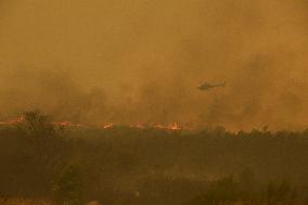 Wildfire in Ourense Burns Over 31,000 Hectares - Spain