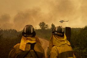 Wildfire in Ourense Burns Over 31,000 Hectares - Spain