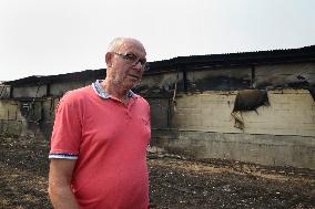 Wildfire in Ourense Burns Over 31,000 Hectares - Spain