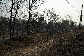 Wildfire in Ourense Burns Over 31,000 Hectares - Spain
