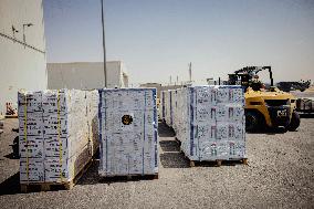 Jordanian Airdrop Aid in Gaza - Gaza