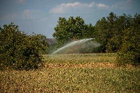 Illustration French Farming - France