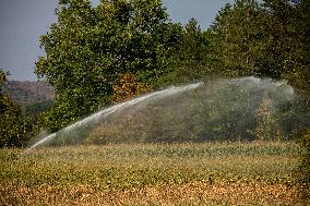 Illustration French Farming - France