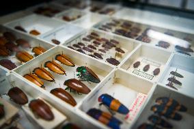 A Biodiversity Center To Safeguard Over 13M Specimens - Canberra