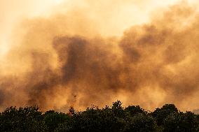 Aliseda Fire Destroys Homes in Las Vinas de la Mata - Spain