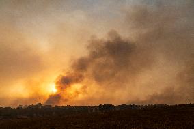 Aliseda Fire Destroys Homes in Las Vinas de la Mata - Spain