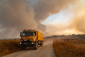 Aliseda Fire Destroys Homes in Las Vinas de la Mata - Spain