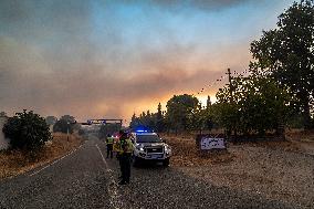 Aliseda Fire Destroys Homes in Las Vinas de la Mata - Spain