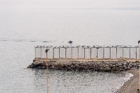 Hundreds Of Migrants Try To Swim Into Ceuta On A Night Of High Migratory Pressure - Spain
