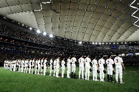Baseball: Nagashima memorial game