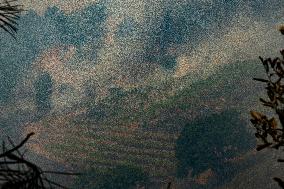 40 Municipalities Lack Garbage Collection After A Rúa Fire - Spain