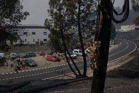 40 Municipalities Lack Garbage Collection After A Rúa Fire - Spain