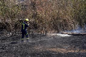 Fires in Cipérez and El Payo Spread Amid Wind and Heat - Spain