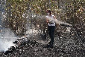 Fires in Cipérez and El Payo Spread Amid Wind and Heat - Spain
