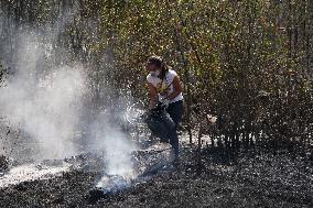Fires in Cipérez and El Payo Spread Amid Wind and Heat - Spain