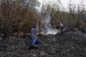 Fires in Cipérez and El Payo Spread Amid Wind and Heat - Spain
