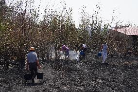 Fires in Cipérez and El Payo Spread Amid Wind and Heat - Spain
