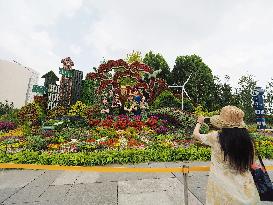 Theme Flower Bed in Beijing