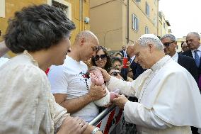 Pope Leo XIV Leads Mass in Albano - Italy