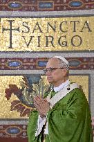 Pope Leo XIV Leads Mass in Albano - Italy