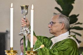 Pope Leo XIV Leads Mass in Albano - Italy