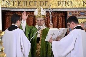 Pope Leo XIV Leads Mass in Albano - Italy