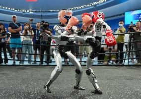 2025 World Humanoid Robot Games - China