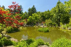 Illustration - Nantes - France