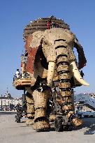 Illustration - Nantes - France