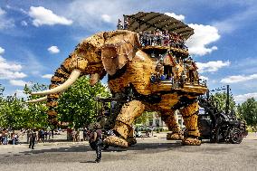 Illustration - Nantes - France