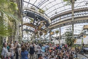 Illustration - Nantes - France