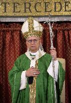 Pope Leo XIV Leads Mass in Albano - Italy